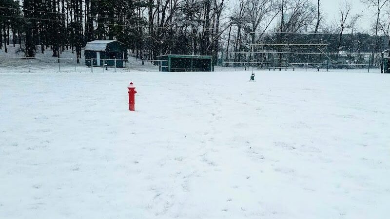 Salem Dog Park - Salem, IL