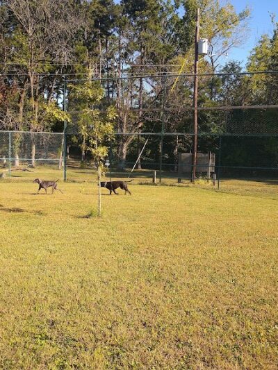 Salem Dog Park - Salem, IL