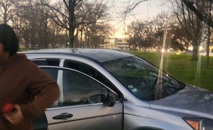 Salem Dog Park - Salem, IL