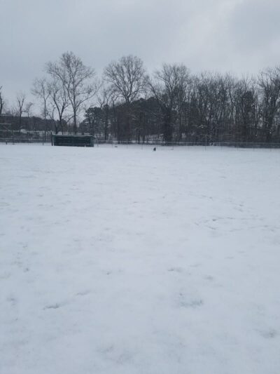 Salem Dog Park - Salem, IL