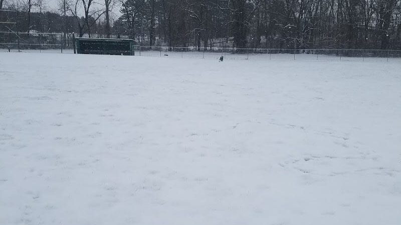 Salem Dog Park - Salem, IL