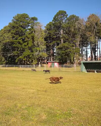 Salem Dog Park - Salem, IL