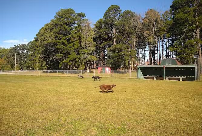 Salem Dog Park - Salem, IL