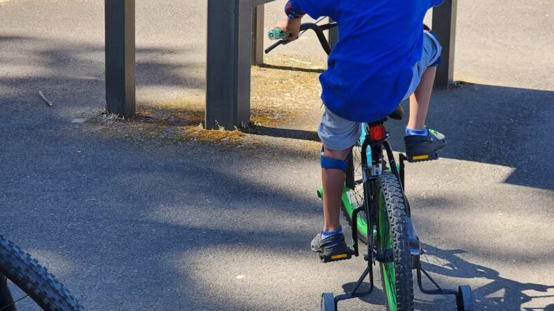 Minto-Brown Island Dog Park - Salem, OR