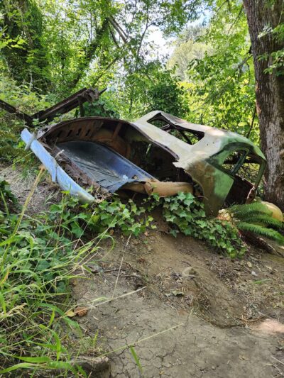 Minto-Brown Island Dog Park - Salem, OR