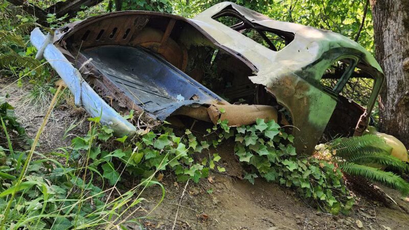 Minto-Brown Island Dog Park - Salem, OR