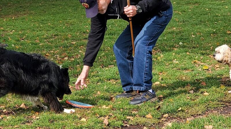 Minto-Brown Island Dog Park - Salem, OR