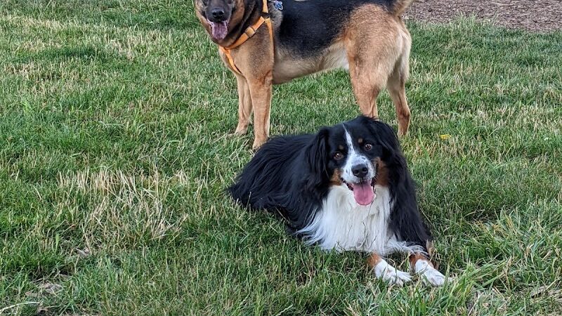 Minto-Brown Island Dog Park - Salem, OR