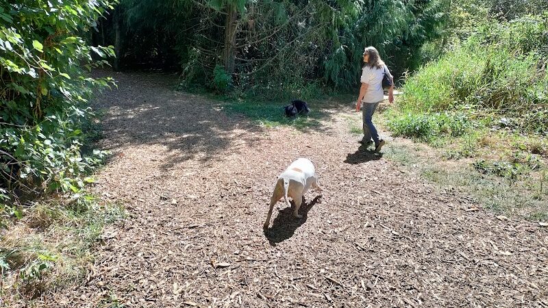 Minto-Brown Island Dog Park - Salem, OR