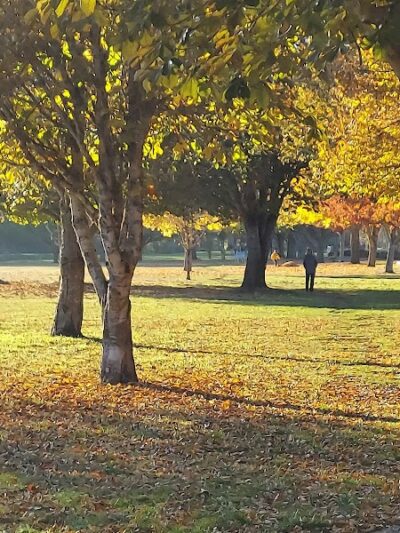 Minto-Brown Island Dog Park - Salem, OR