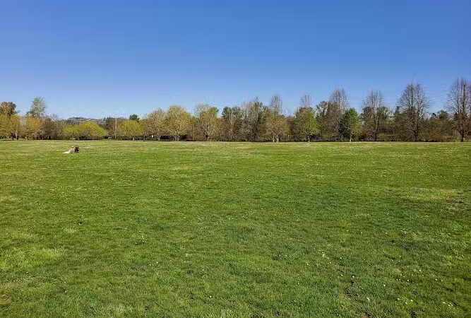 Minto-Brown Island Dog Park - Salem, OR