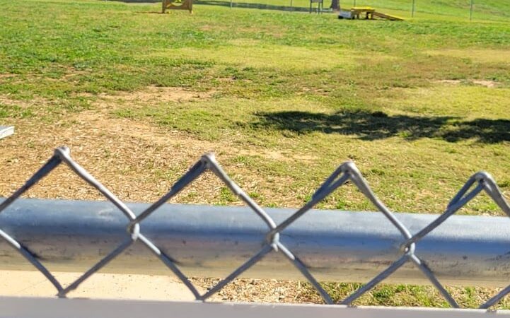 Pitner Dog Park
