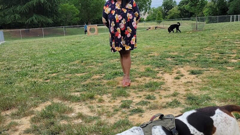 Pitner Dog Park