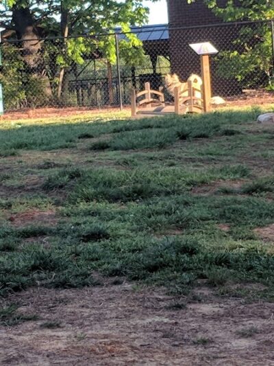 Precious 9 Memorial Dog Park