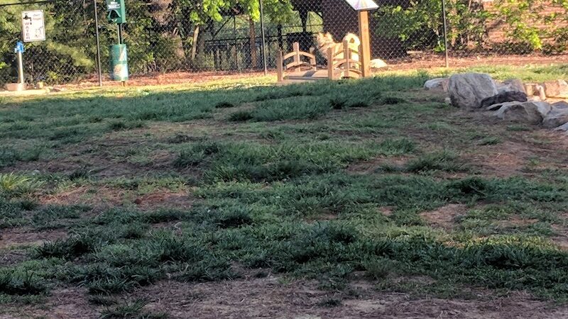 Precious 9 Memorial Dog Park