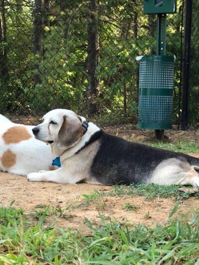 Precious 9 Memorial Dog Park