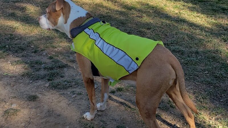 Precious 9 Memorial Dog Park