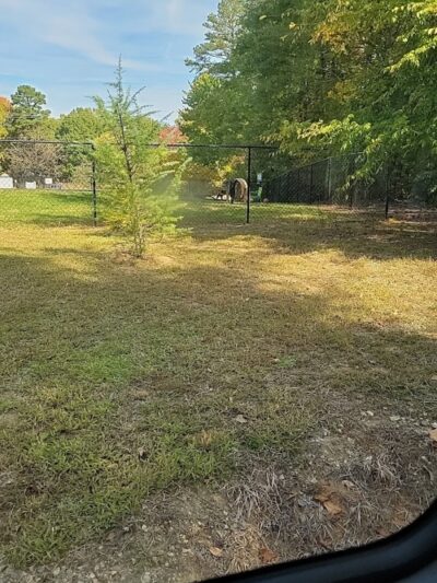 Precious 9 Memorial Dog Park