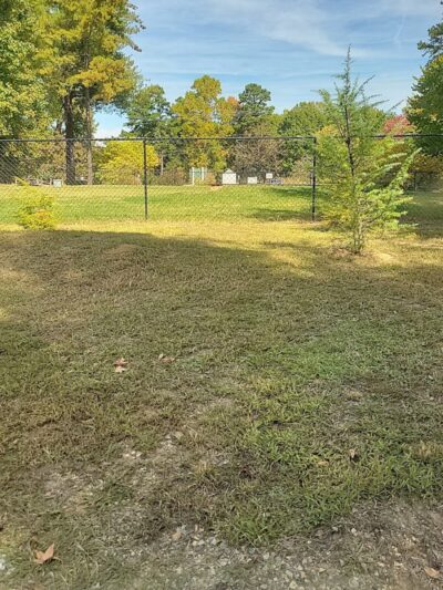 Precious 9 Memorial Dog Park