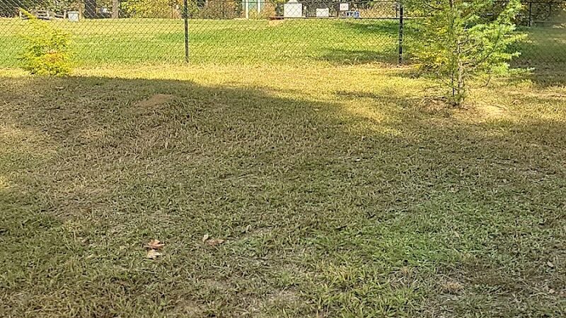 Precious 9 Memorial Dog Park