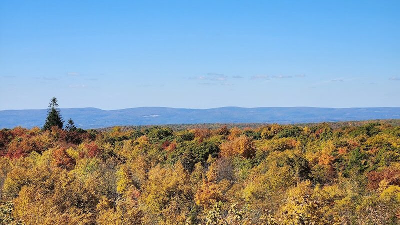 Forbes State Forest - Mount Davis Natural Area - Salisbury, PA