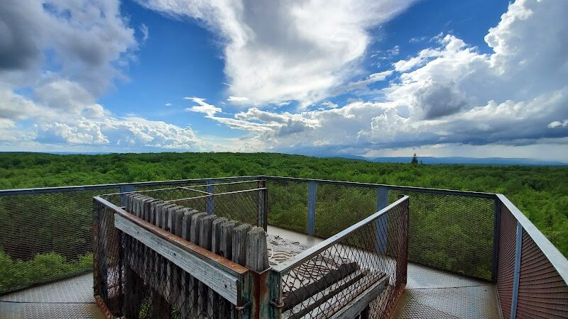 Forbes State Forest - Mount Davis Natural Area - Salisbury, PA