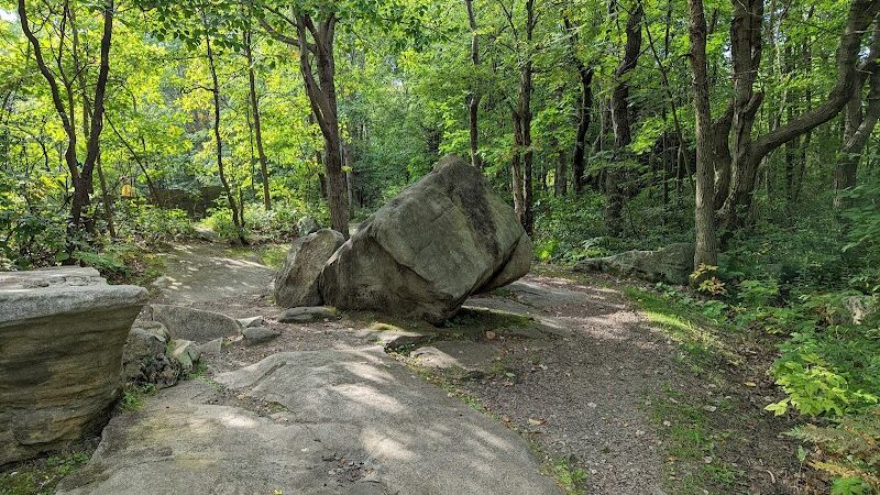 Forbes State Forest - Mount Davis Natural Area - Salisbury, PA