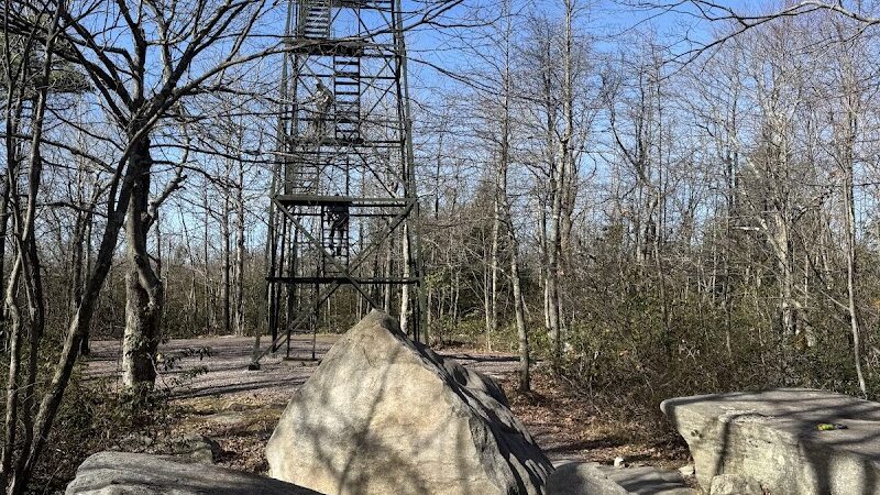 Forbes State Forest - Mount Davis Natural Area - Salisbury, PA