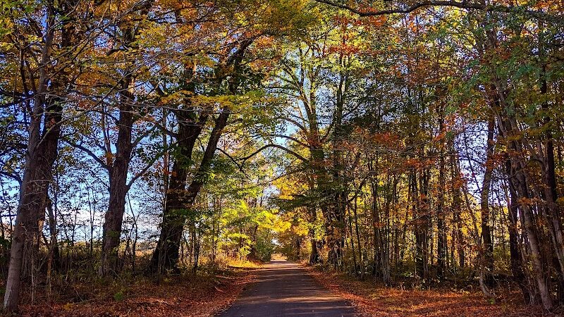Forbes State Forest - Mount Davis Natural Area - Salisbury, PA