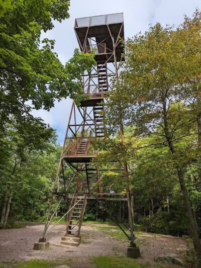 Forbes State Forest - Mount Davis Natural Area - Salisbury, PA