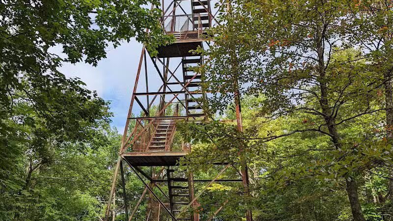 Forbes State Forest - Mount Davis Natural Area - Salisbury, PA