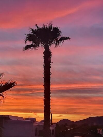 Desert Gold RV Parks - Salome, AZ