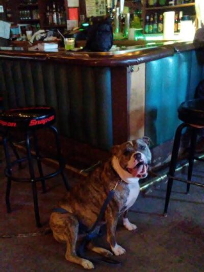 Stanford Inn - Salome, AZ