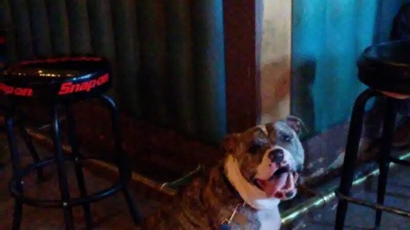 Stanford Inn - Salome, AZ