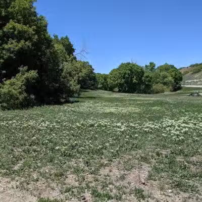 Rotary Glen Dog Park - Salt Lake City, UT