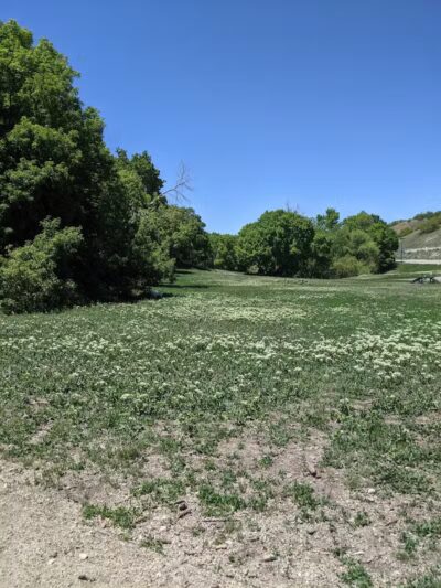 Rotary Glen Dog Park - Salt Lake City, UT