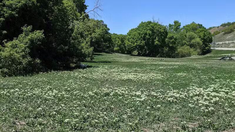 Rotary Glen Dog Park - Salt Lake City, UT
