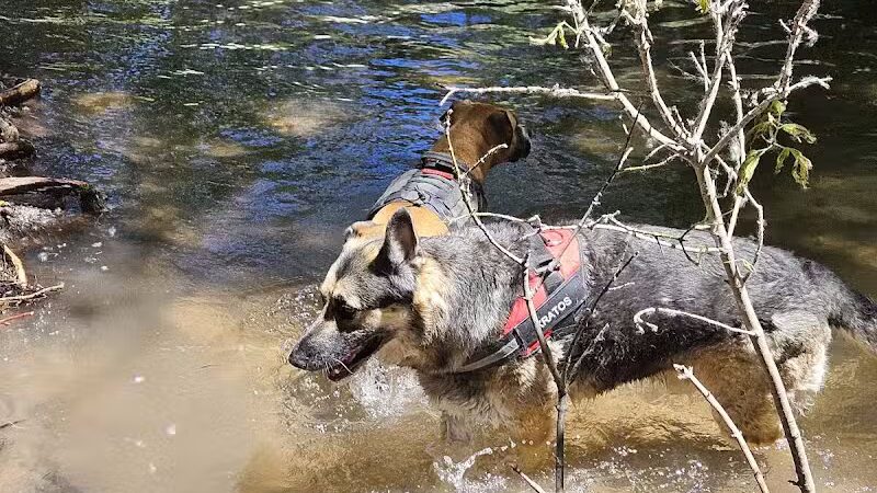 Rotary Glen Dog Park - Salt Lake City, UT