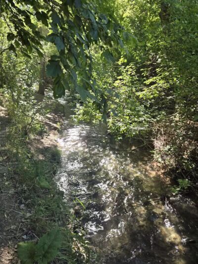 Rotary Glen Dog Park - Salt Lake City, UT