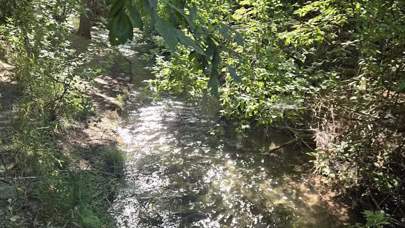 Rotary Glen Dog Park - Salt Lake City, UT