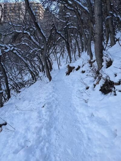 Rotary Glen Dog Park - Salt Lake City, UT