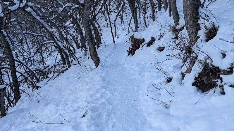 Rotary Glen Dog Park - Salt Lake City, UT