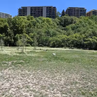 Rotary Glen Dog Park - Salt Lake City, UT