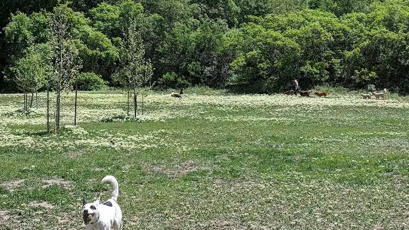 Rotary Glen Dog Park - Salt Lake City, UT