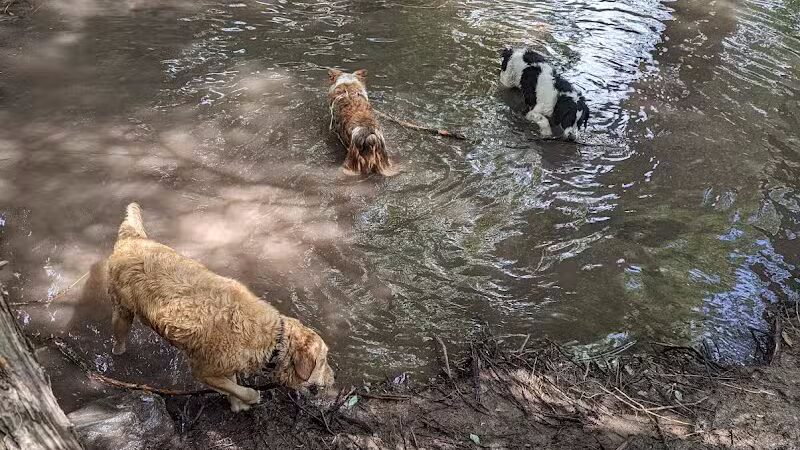 Rotary Glen Dog Park - Salt Lake City, UT