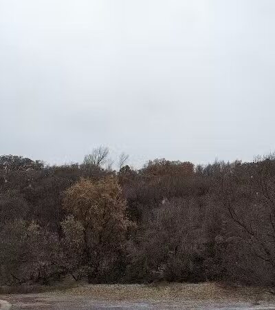 Rotary Glen Dog Park - Salt Lake City, UT