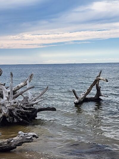 Salvo Day Use Area - Salvo, NC