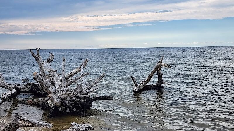 Salvo Day Use Area - Salvo, NC