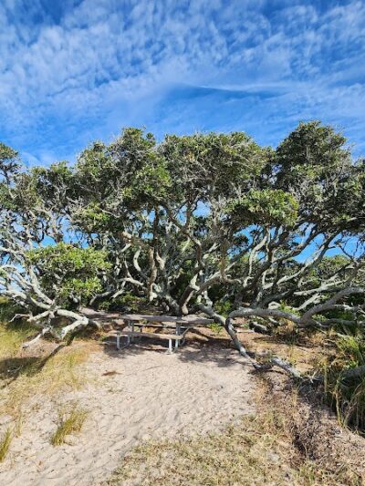 Salvo Day Use Area - Salvo, NC