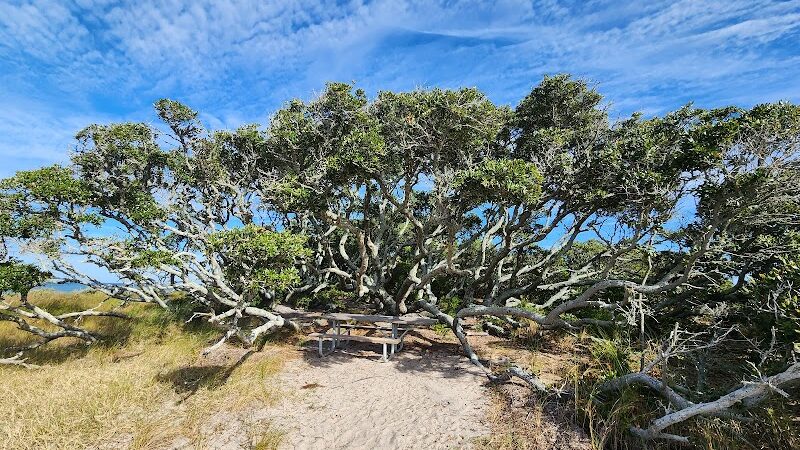 Salvo Day Use Area - Salvo, NC
